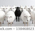 Black sheep among white sheep, being different concept 138468023