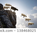Black sheep leading a flock as white sheep jump from a rocky cliff into open sky with dramatic clouds and strong copy space 138468025