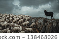 Sheep flock climbing a rocky mountainside with one black sheep standing apart near the ridge under dramatic cloudy sky 138468026