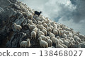 Sheep flock climbing a rocky mountainside with one black sheep standing apart near the ridge under dramatic cloudy sky 138468027
