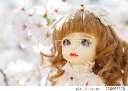 一個女孩玩偶和盛開的櫻花。 一個女孩玩偶和盛開的櫻花。 138468320