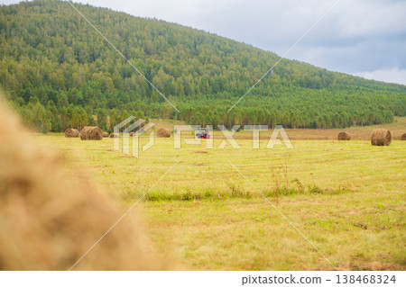 A tractor moves through a vast field scattered with round hay bales, surrounded by lush green trees and rolling hills under a cloudy sky. A tractor moves through a vast field scattered with round hay bales, surrounded by lush green trees and rolling hills under a cloudy sky. 138468324