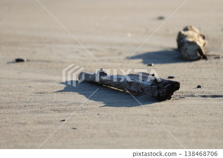 Driftwood washed ashore at Koijigahama Beach (Tahara City, Aichi Prefecture) 138468706