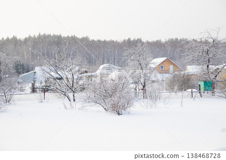 snow laden trees and quaint houses blanketed in white snow. Soft snowfall enhances the tranquil atmosphere in this rural setting. serene winter scene snow laden trees and quaint houses blanketed in white snow. Soft snowfall enhances the tranquil atmosphere in this rural setting. serene winter scene 138468728