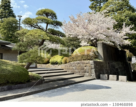 The Imperial Palace in Spring: Inui Street 138468898
