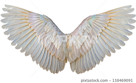 Realistic angel wings. White wing isolated. png transparency Realistic angel wings. White wing isolated. png transparency 138469091