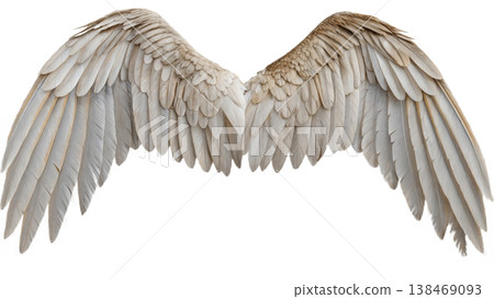 Realistic angel wings. White wing isolated. png transparency Realistic angel wings. White wing isolated. png transparency 138469093