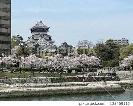 透過櫻花遠眺小倉城 透過櫻花遠眺小倉城 138469115