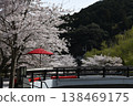 Cherry blossoms and red umbrellas 138469175