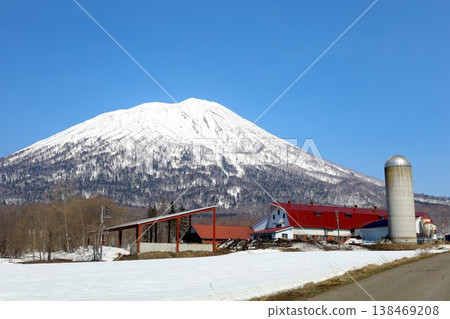 四月初，北海道尻別市，二世古，晴空萬裡，春天來了，蝦夷富士山，羊蹄山，真芻村，日本百合球莖產量最高的村莊。 138469208