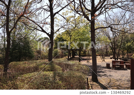 Park with cherry blossoms Park with cherry blossoms 138469292