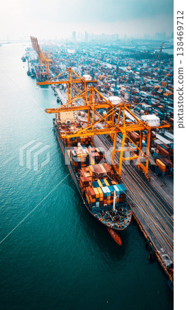 Containers are loaded and unloaded at the cargo sea port. Cranes move goods while large ships dock along the waterfront. Workers manage operations on the ships and wharf 138469712