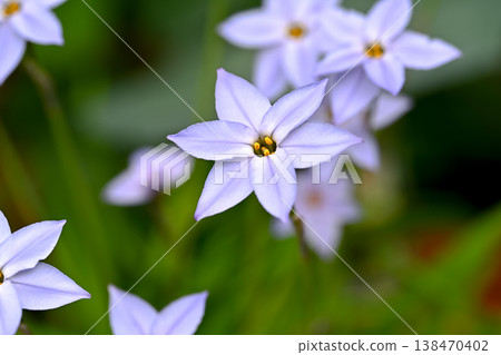 Hananilla Hananilla 138470402