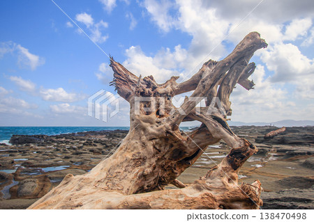 Driftwood on the Rocky Coast of Shenao in New Taipei City Driftwood on the Rocky Coast of Shenao in New Taipei City 138470498