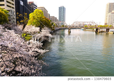 Cherry blossoms and the scenery of the Okawa River Cherry blossoms and the scenery of the Okawa River 138470603