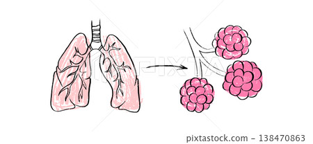 Cells structure sketch Cells structure sketch 138470863