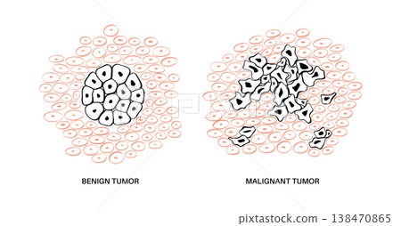 Cells structure sketch Cells structure sketch 138470865