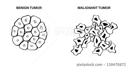 Cells structure sketch 138470872
