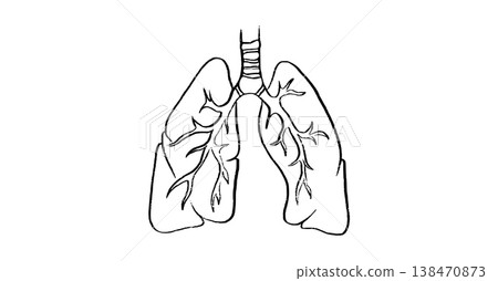 Cells structure sketch Cells structure sketch 138470873