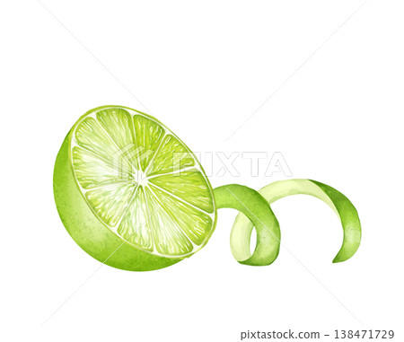 Fresh lime fruit half with green spiral zest peel. Citrus food aesthetic illustration. Fresh lime fruit half with green spiral zest peel. Citrus food aesthetic illustration. 138471729