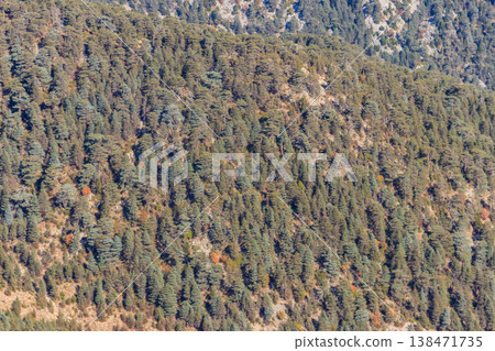 Aerial view of the coniferous forest in the Taurus mountains, Turkey Aerial view of the coniferous forest in the Taurus mountains, Turkey 138471735