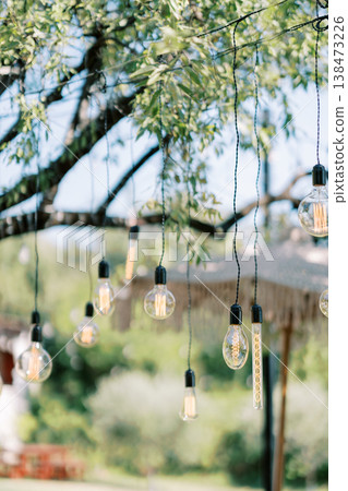 Rustic Filament Lamps Illuminate Outdoor Celebration Ambiance Rustic Filament Lamps Illuminate Outdoor Celebration Ambiance 138473226