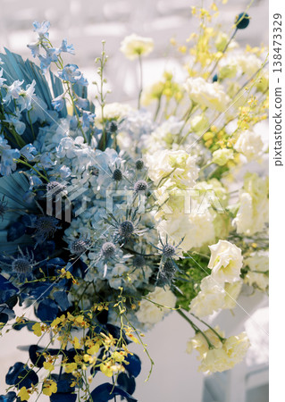 Detailed Shot Highlighting Tender Foliage Of Hydrangea Plant Detailed Shot Highlighting Tender Foliage Of Hydrangea Plant 138473329