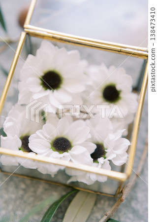 Soft Natural Light Illuminates Vintage Book Scene Featuring Bridal Jewelry And Floral Accents Soft Natural Light Illuminates Vintage Book Scene Featuring Bridal Jewelry And Floral Accents 138473410