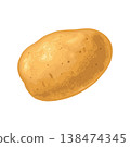 Potato root whole. Vector color realistic illustration. 138474345