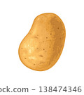 Potato root whole. Vector color realistic illustration. 138474346