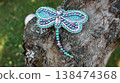 Beaded Dragonfly Brooch Jewelry on Tree Bark Close Up 138474368