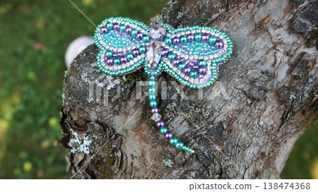 Beaded Dragonfly Brooch Jewelry on Tree Bark Close Up Beaded Dragonfly Brooch Jewelry on Tree Bark Close Up 138474368