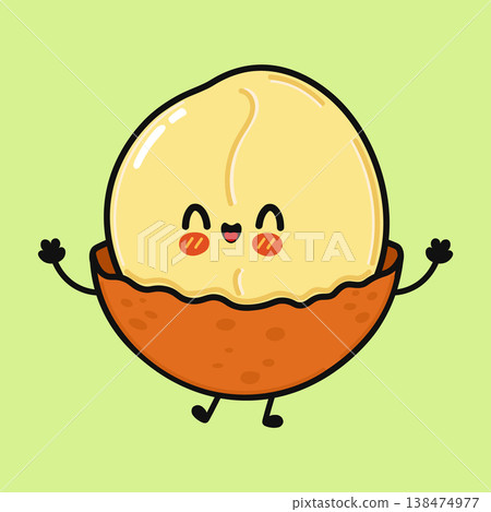 Cute happy macadamia nut character smiling and greeting Cute happy macadamia nut character smiling and greeting 138474977