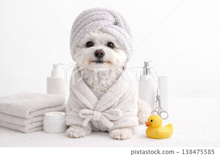 Small white dog wrapped in a towel and turban 138475585