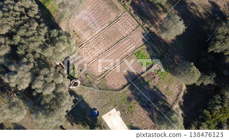 Drone View of Farmland with Crop Patterns 138476123