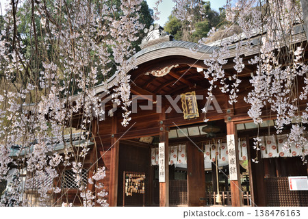 大石神社和大石櫻花樹(京都市山科區) 大石神社和大石櫻花樹(京都市山科區) 138476163