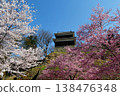 Ueda Castle Ruins Park: Somei Yoshino and Yama-zakura cherry blossoms 138476348