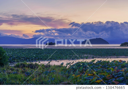 A fantastical scene of Lake Biwa at dusk, with lotus leaves spread across the landscape. A fantastical scene of Lake Biwa at dusk, with lotus leaves spread across the landscape. 138476665