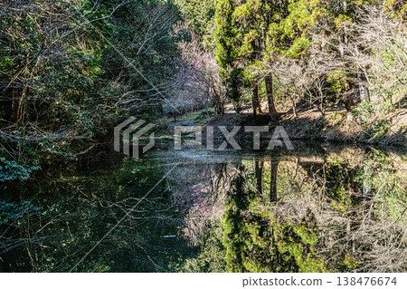 日龍法寺和高澤觀音的景色 日龍法寺和高澤觀音的景色 138476674