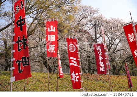 五十鈴河沿岸的櫻花 138476781