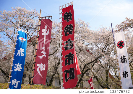 五十鈴河沿岸的櫻花 138476782