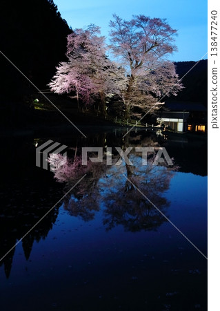 稻田櫻花夜景(第四部) 稻田櫻花夜景(第四部) 138477240