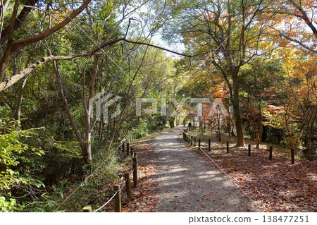 A refreshing walk along a shady path. A refreshing walk along a shady path. 138477251