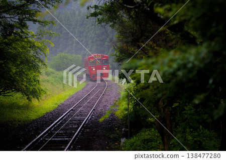 A red diesel train enters a tunnel of fresh green leaves. 138477280