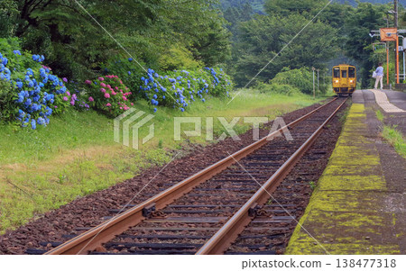 繡球花和當地火車站月台 繡球花和當地火車站月台 138477318