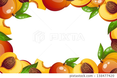 Vector rectangular frame with peaches 138477420