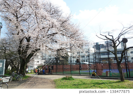 東京府中市壽中央公園2026（壽町網球場） 138477875