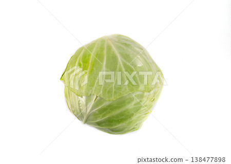 新鮮的白菜 新鮮的白菜 138477898