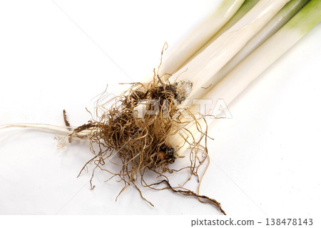 Fresh green onion Fresh green onion 138478143