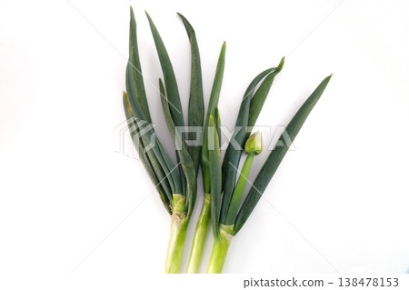 Fresh green onion 138478153